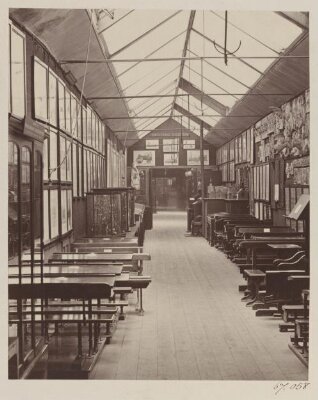 South Kensington Museum, Educational Collection(?), showing School Furniture and Apparatus