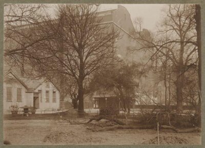 Entrance to the South Kensington Museum with Cast Courts and uprooted tree