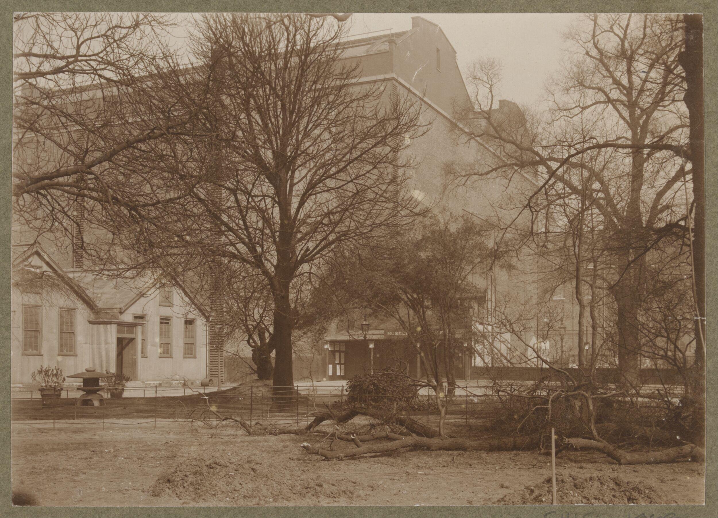Entrance to the South Kensington Museum with Cast Courts and uprooted tree