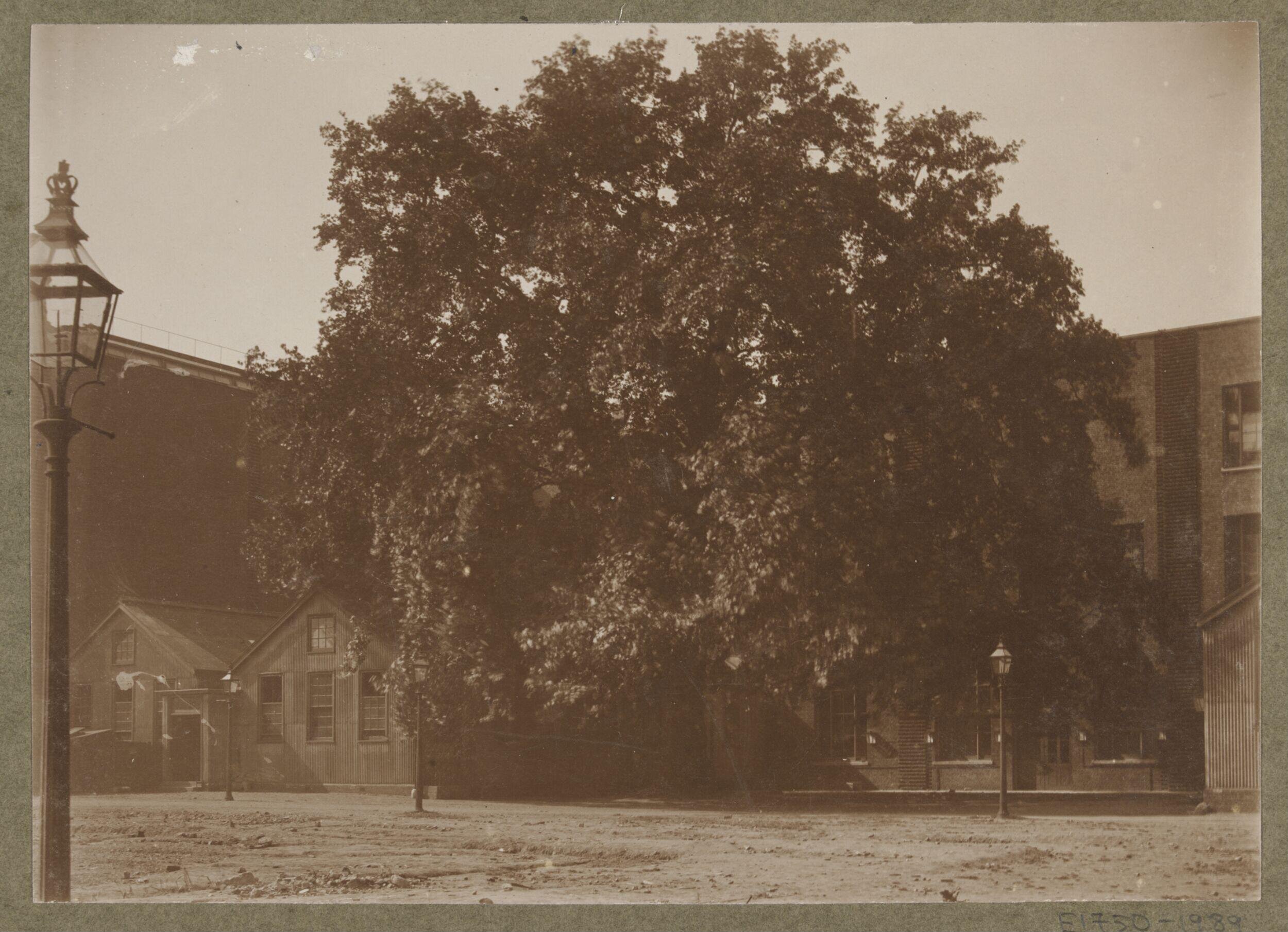 South Kensington Museum, Entrance with Cast courts and temporary buildings on the left and the Library range on the right