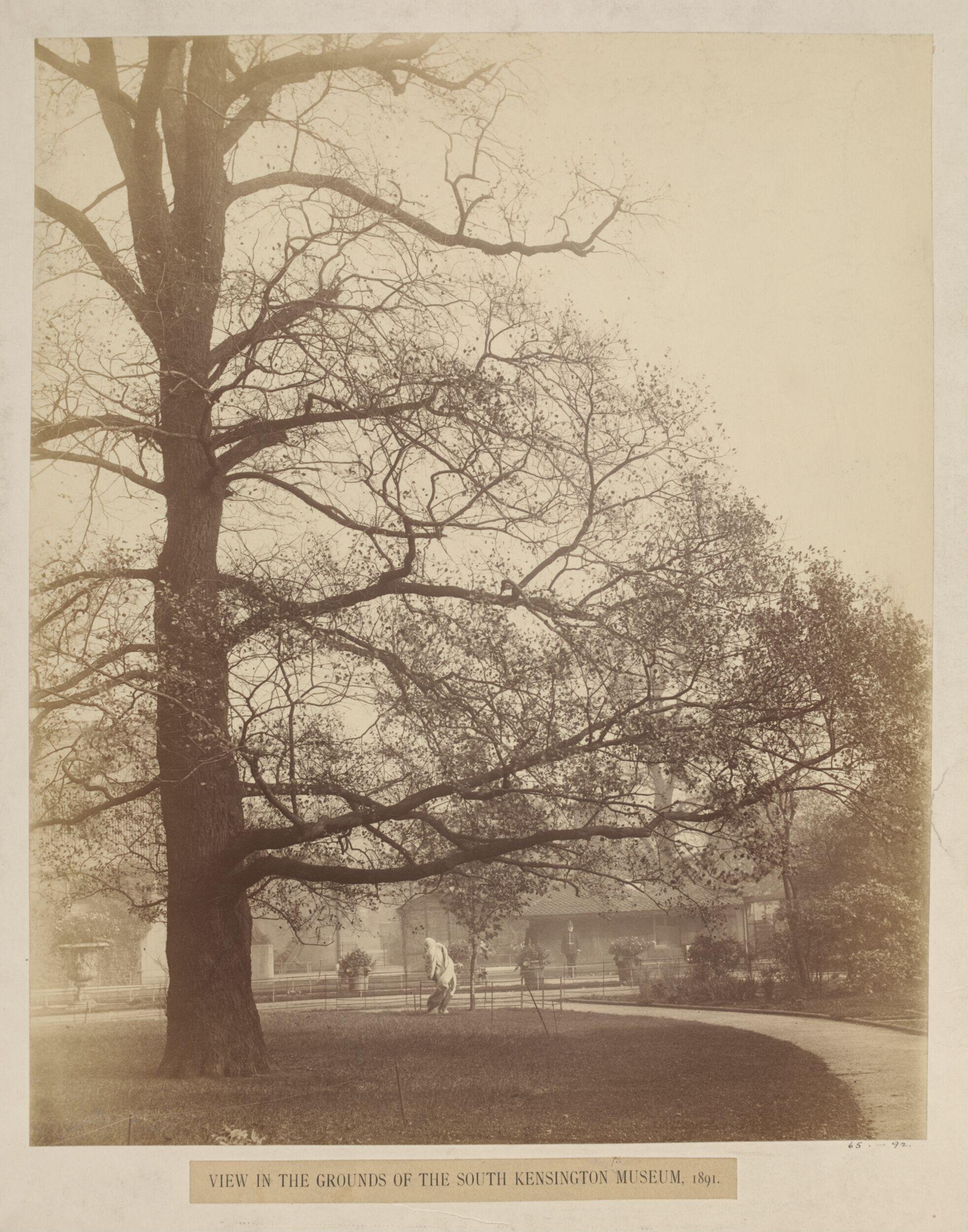 View of the grounds of the South Kensington Museum, 1891