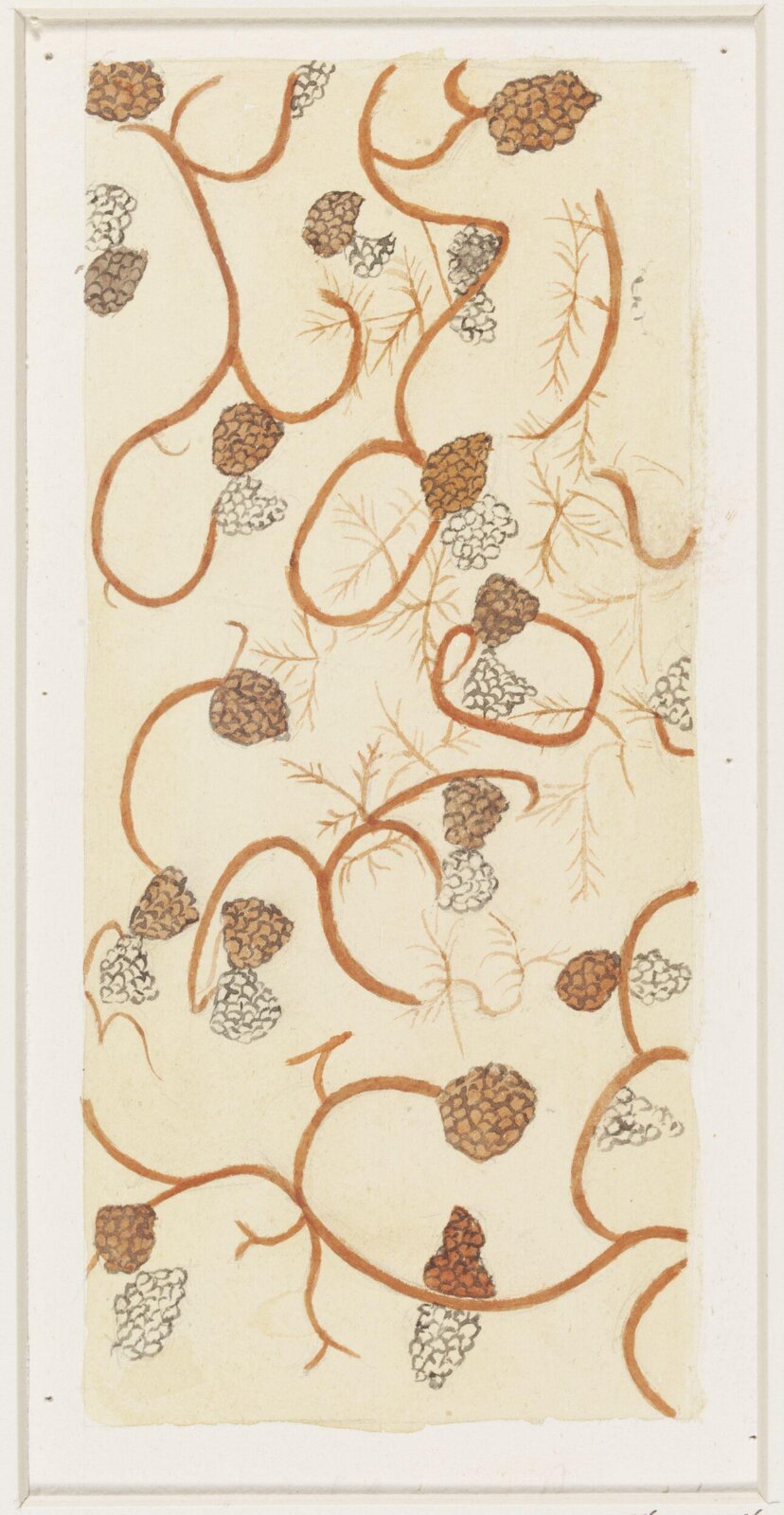 Drawing, Monica F. Gray, 1898 - 1899