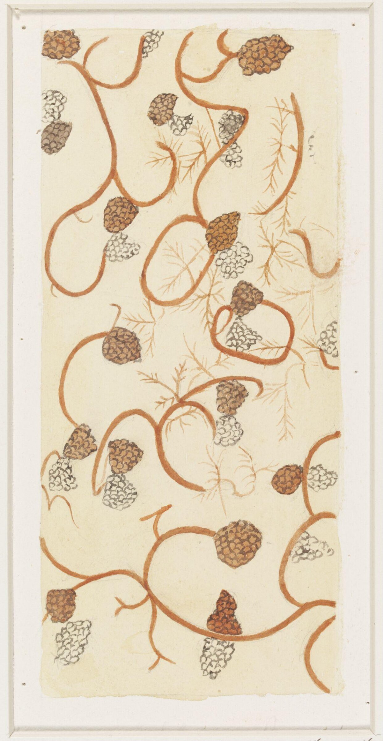 Drawing, Monica F. Gray, 1898 - 1899