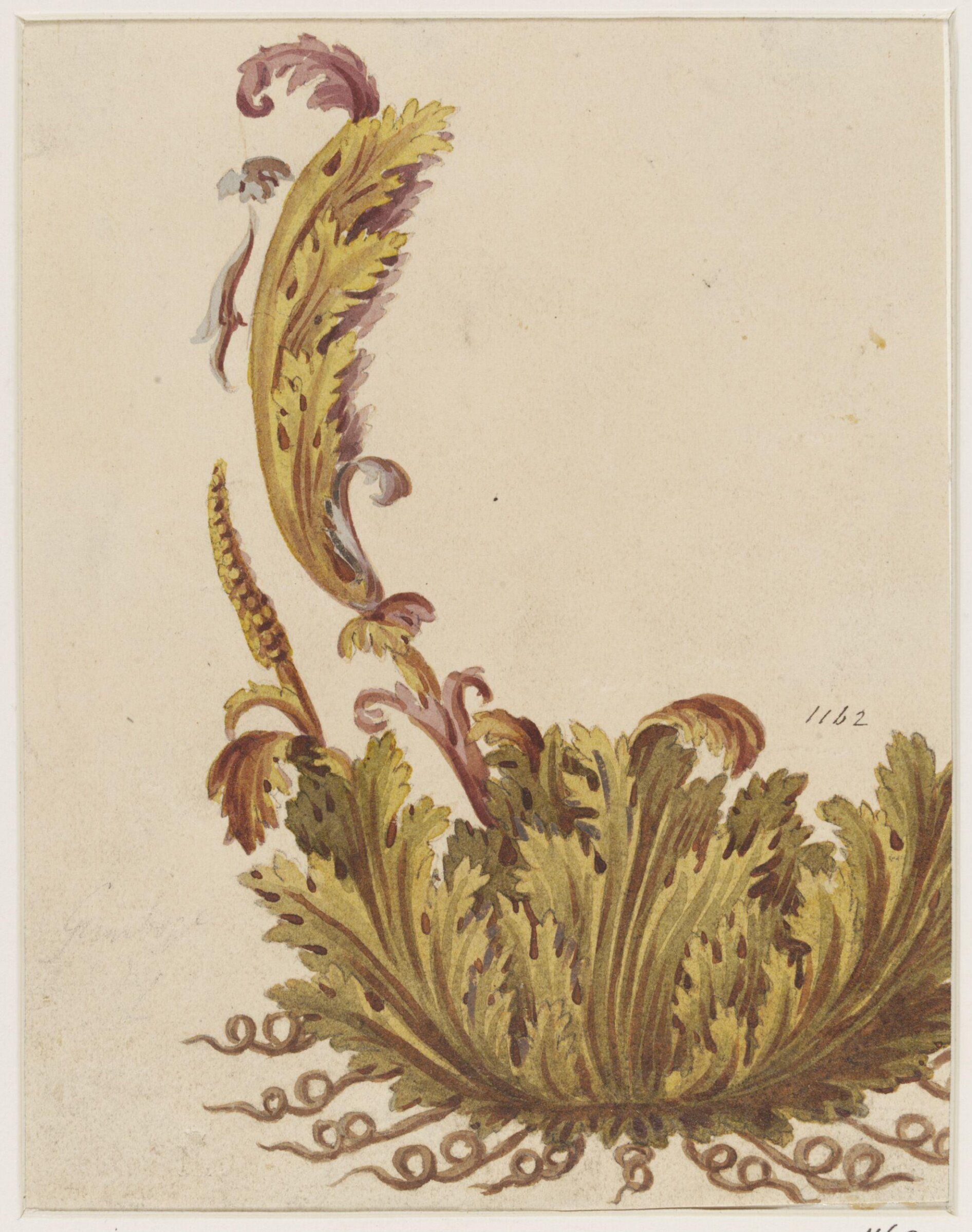 Drawing, attributed to Andien de Clermont, 18th century