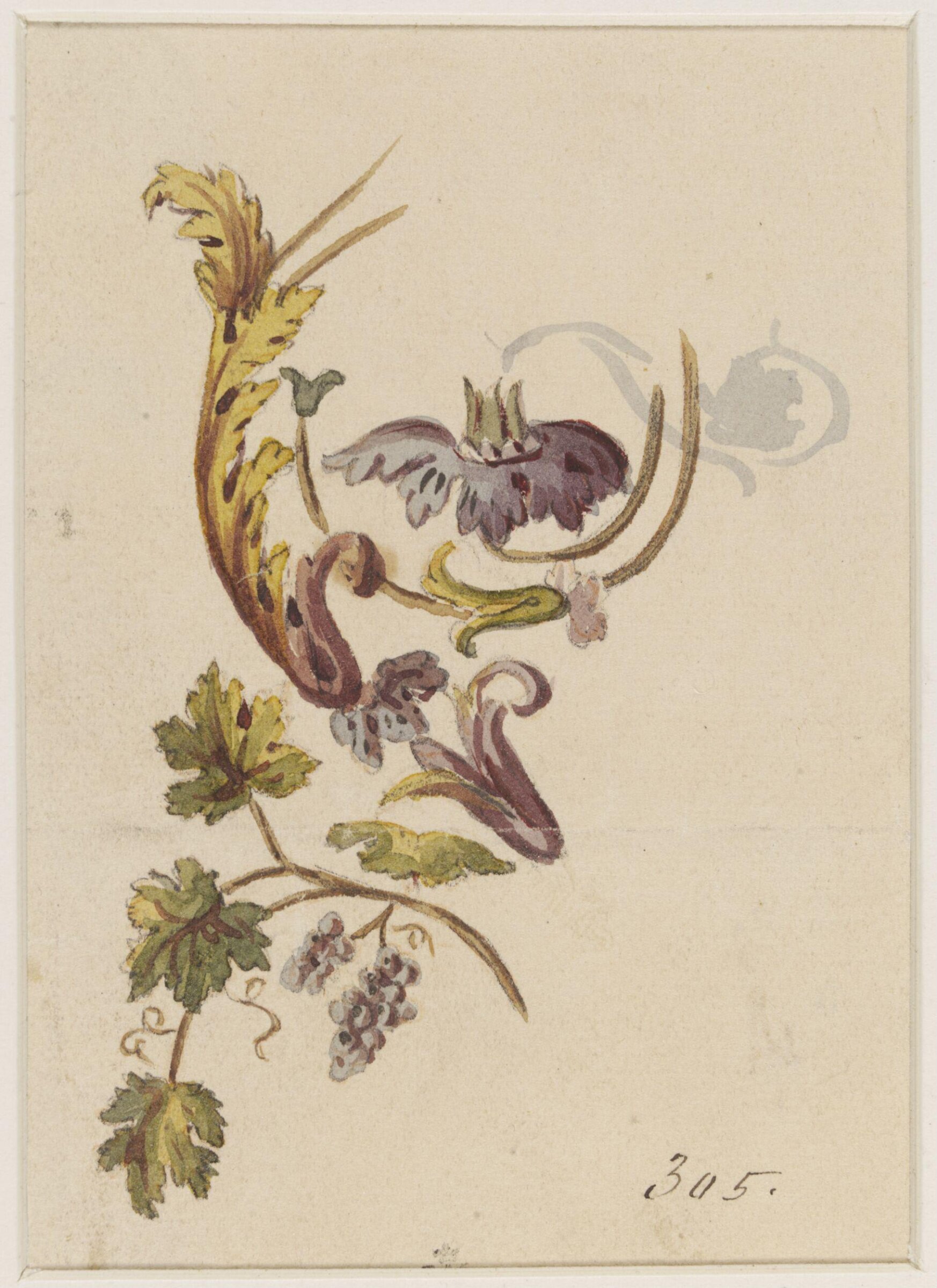 Drawing, attributed to Andien de Clermont, 18th century