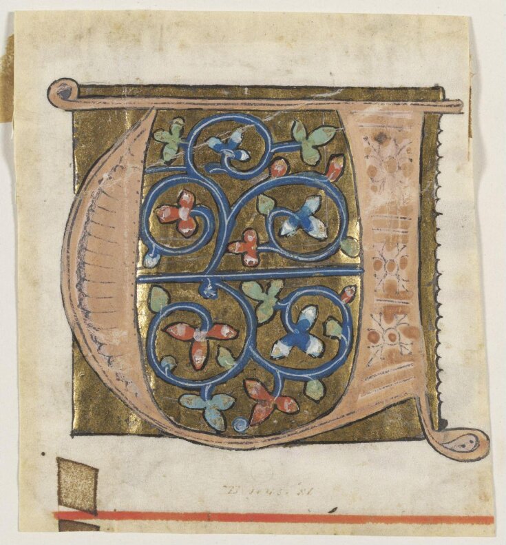 Manuscript Cutting top image