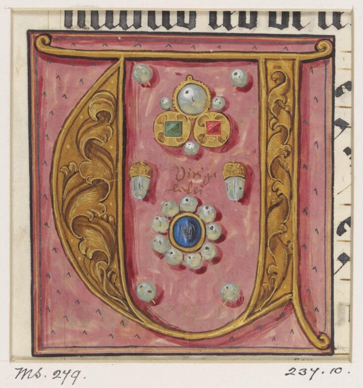 Manuscript Cutting top image