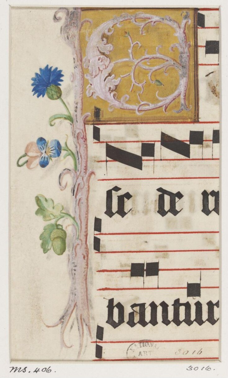 Manuscript Cutting top image