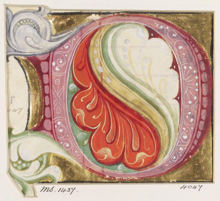 Decorated initial top image