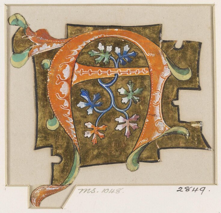 Decorated initial from the Murano Gradual top image