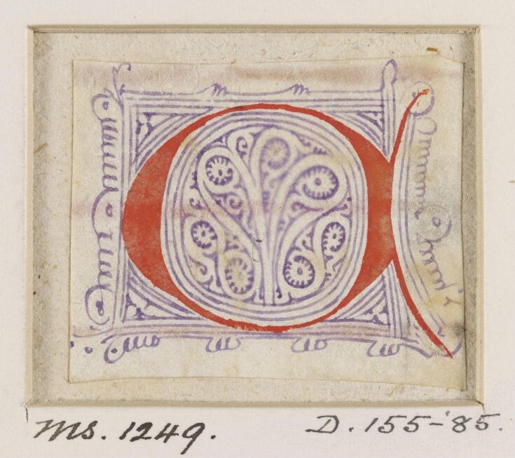 Decorated initial from choirbook top image
