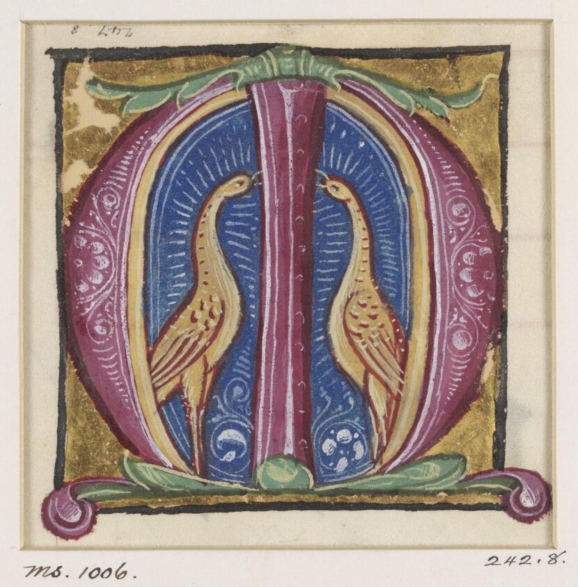 manuscript cutting