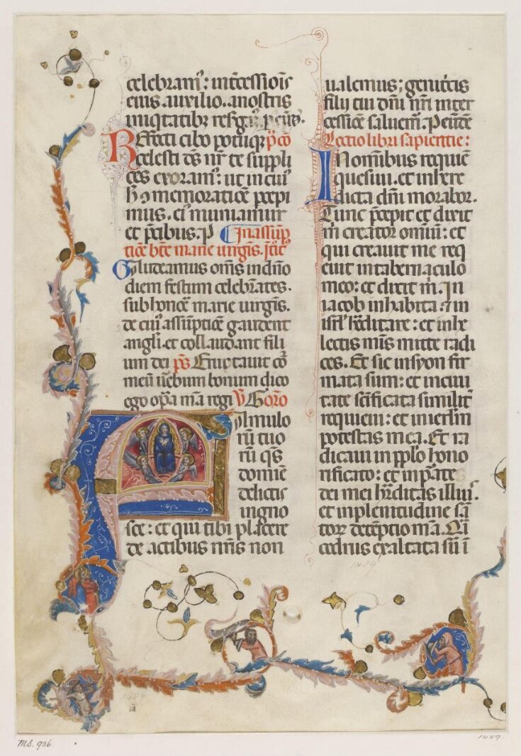 Leaf for the feast of the Assumption from a Missal top image