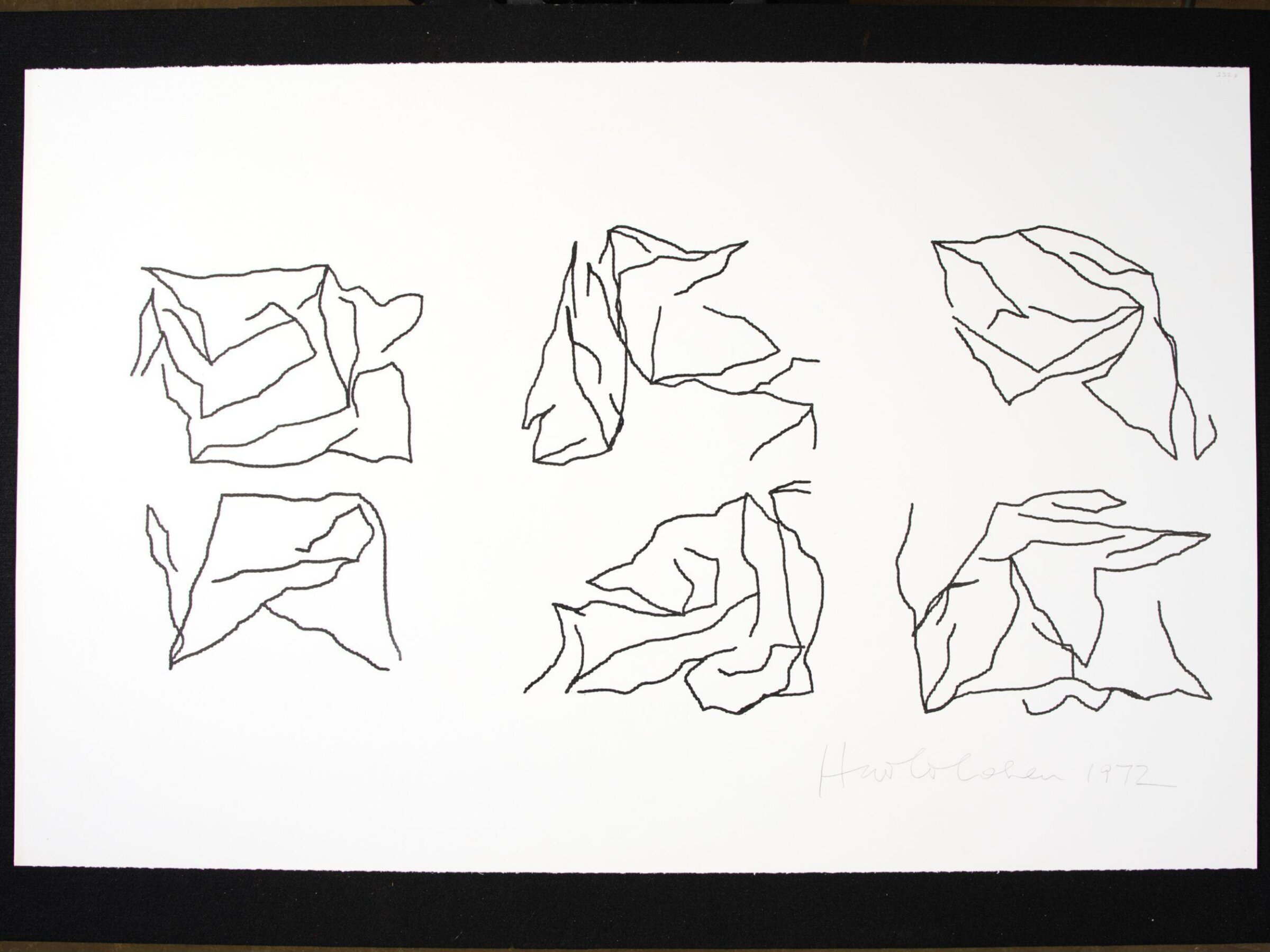 Drawing, Harold Cohen, 1972