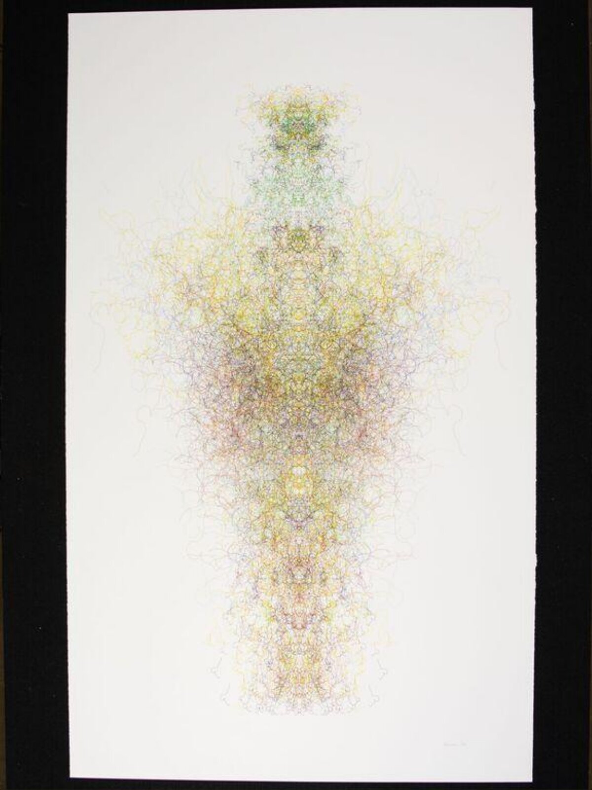 Gaia Series, Untitled, Roman Verostko, 1990