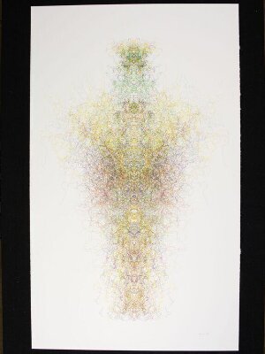 Gaia Series, Untitled, Roman Verostko, 1990