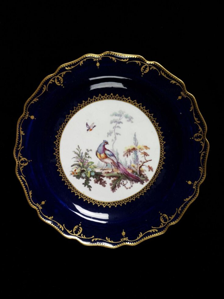 Plate top image