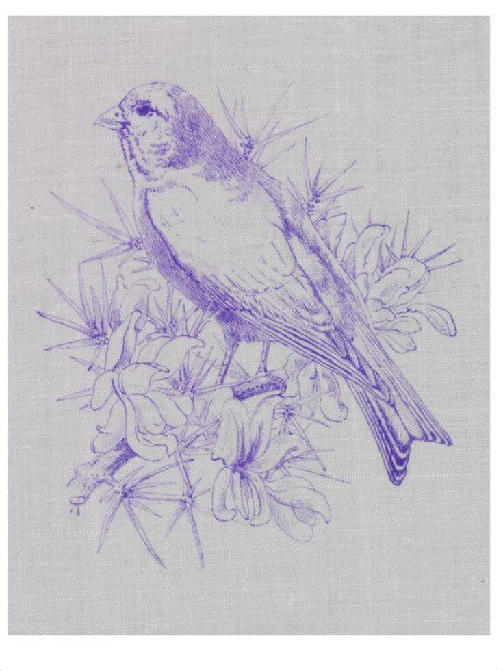 Grey Potter, Rupert V&A Explore The Collections