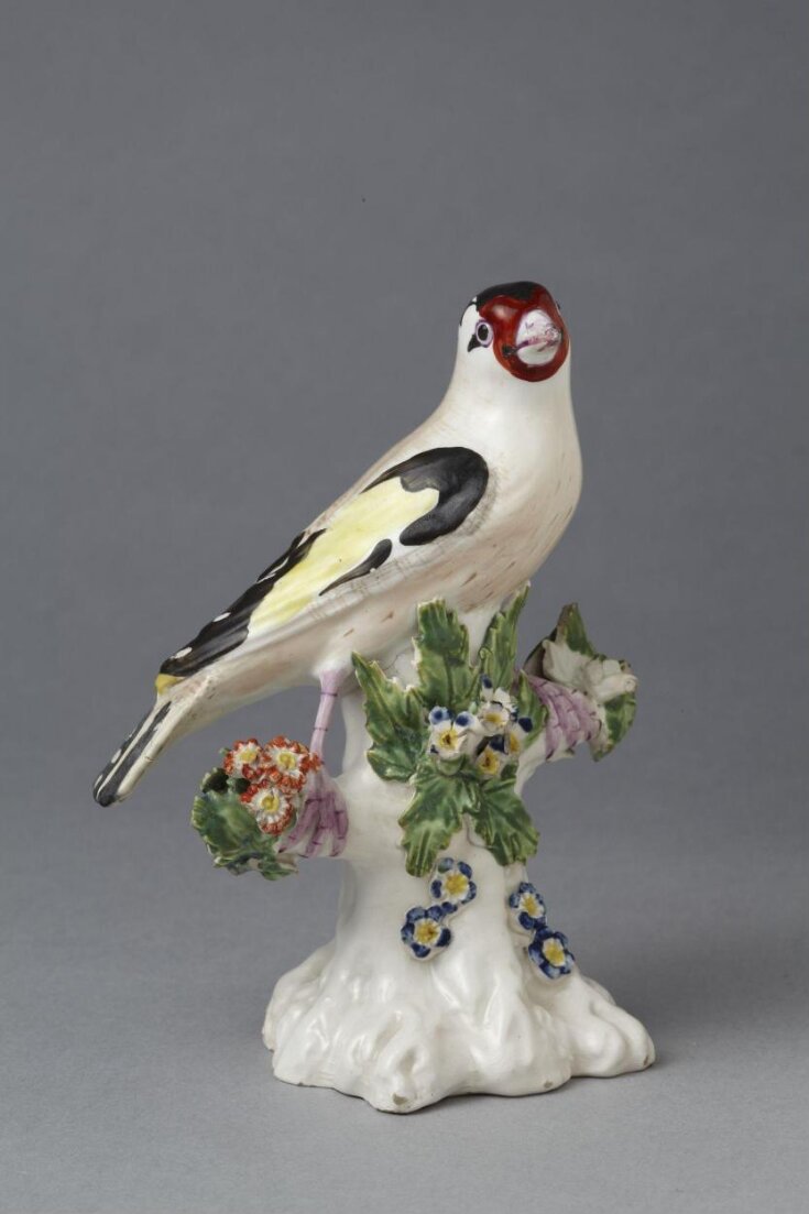 Goldfinch top image