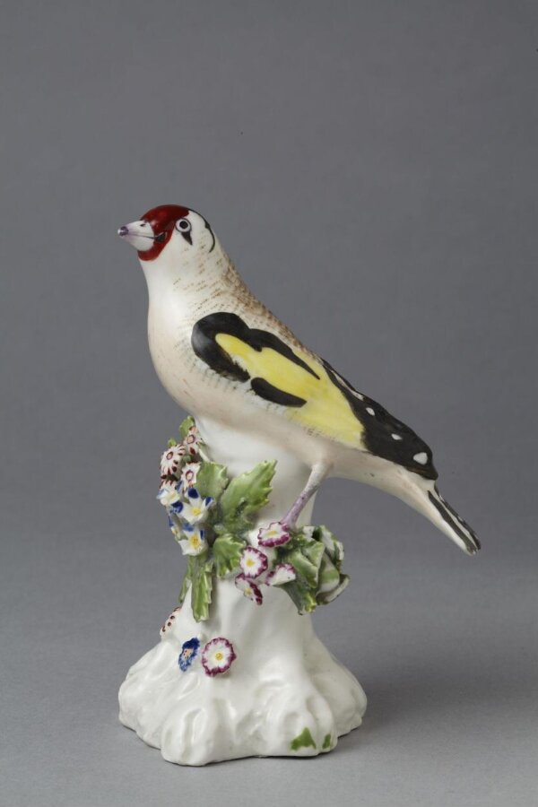 Goldfinch V&A Explore The Collections