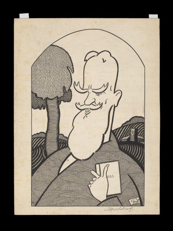 H Beard Print Collection