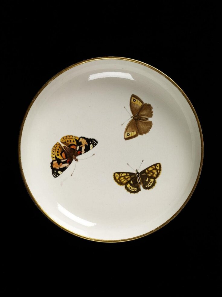 Plate top image