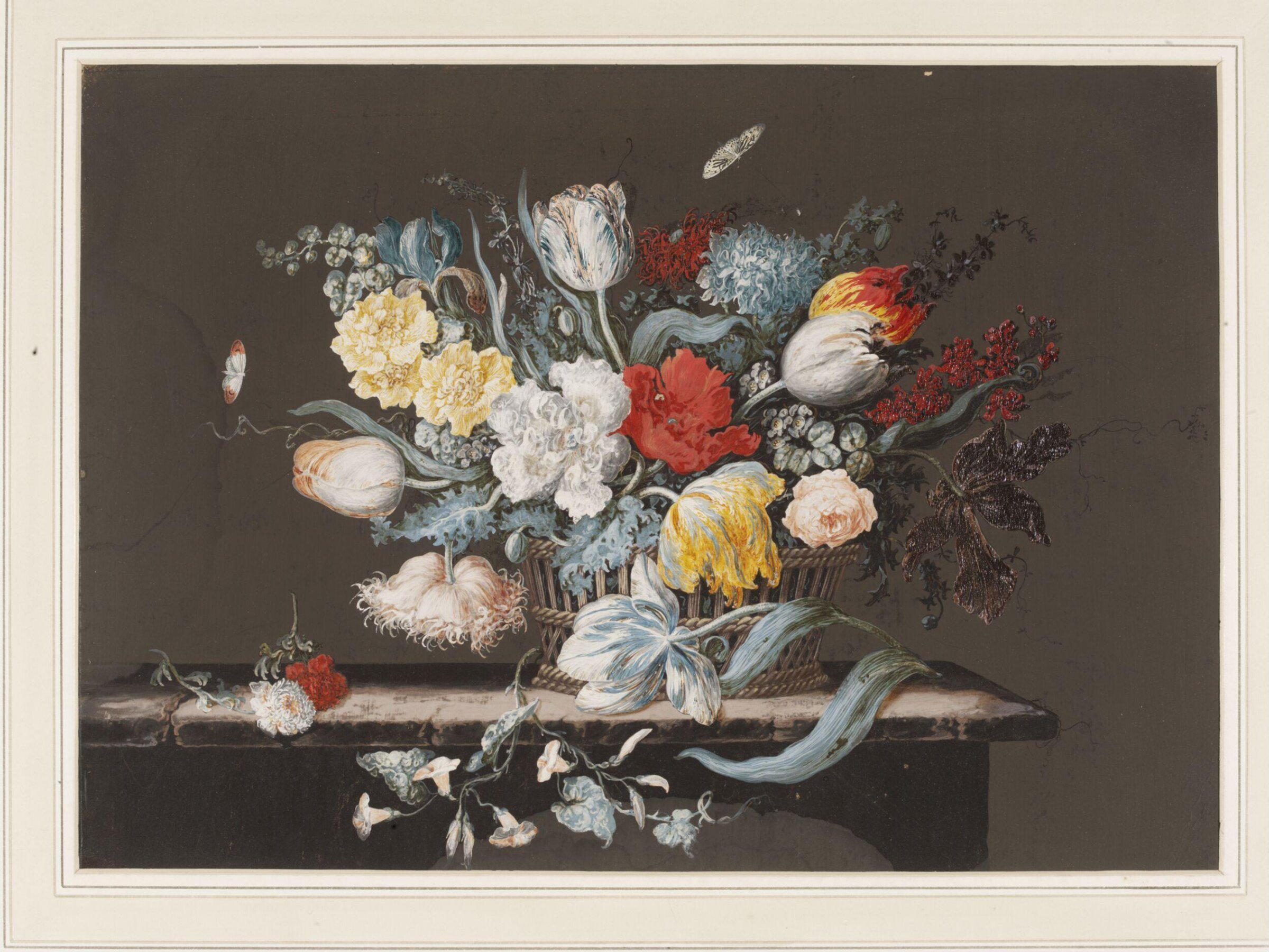 Watercolour, Jan van Huysum, 1682-1749