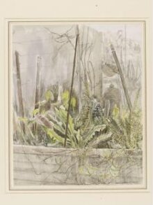 Hyacinth Emerging (the mysteries of the garden no. 5) thumbnail 1