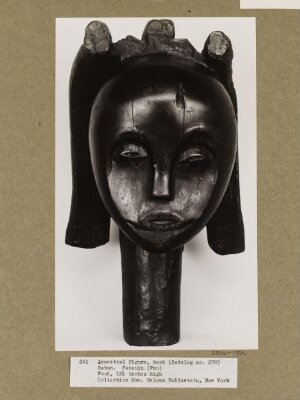 Head, 'Bieri'.  