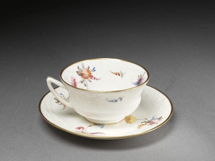Tea Cup and Saucer top image