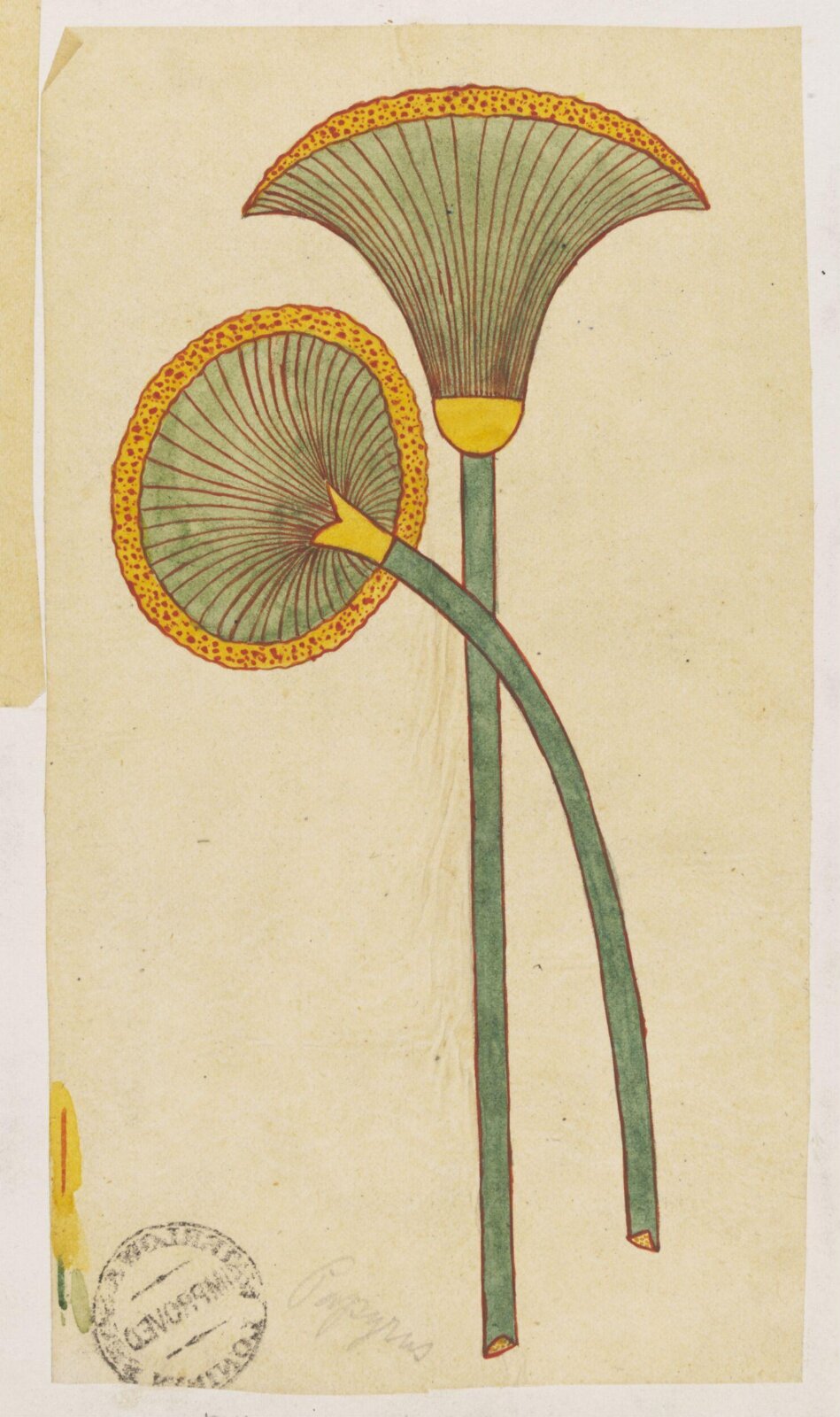 Drawing, Richard Phené Spiers, 19th century