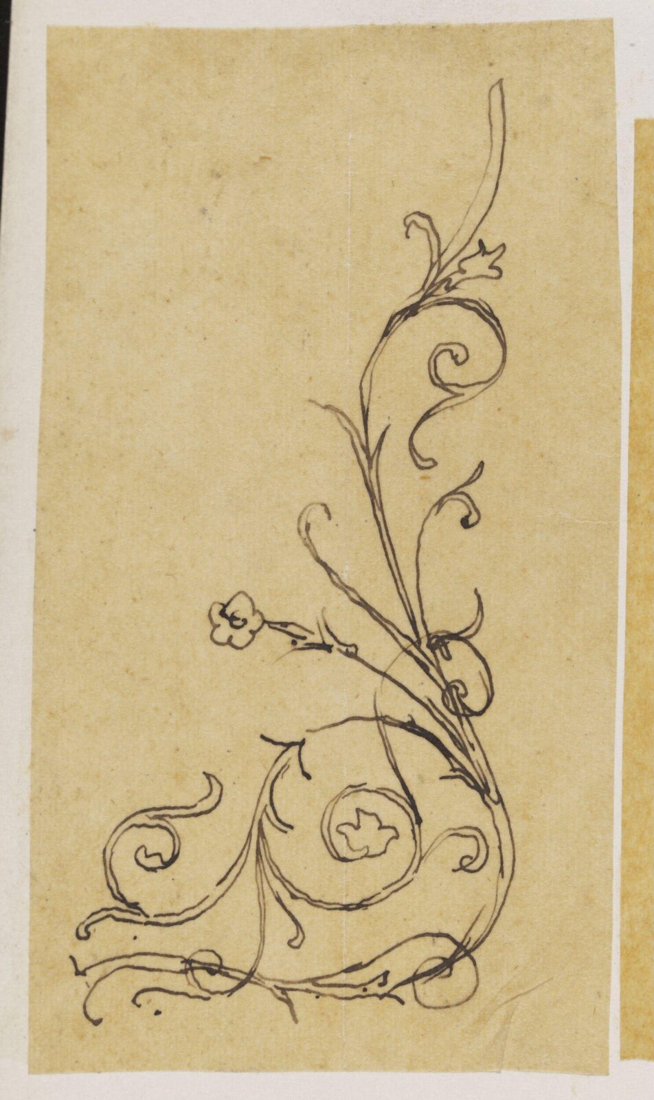 Drawing, Richard Phené Spiers, 19th century