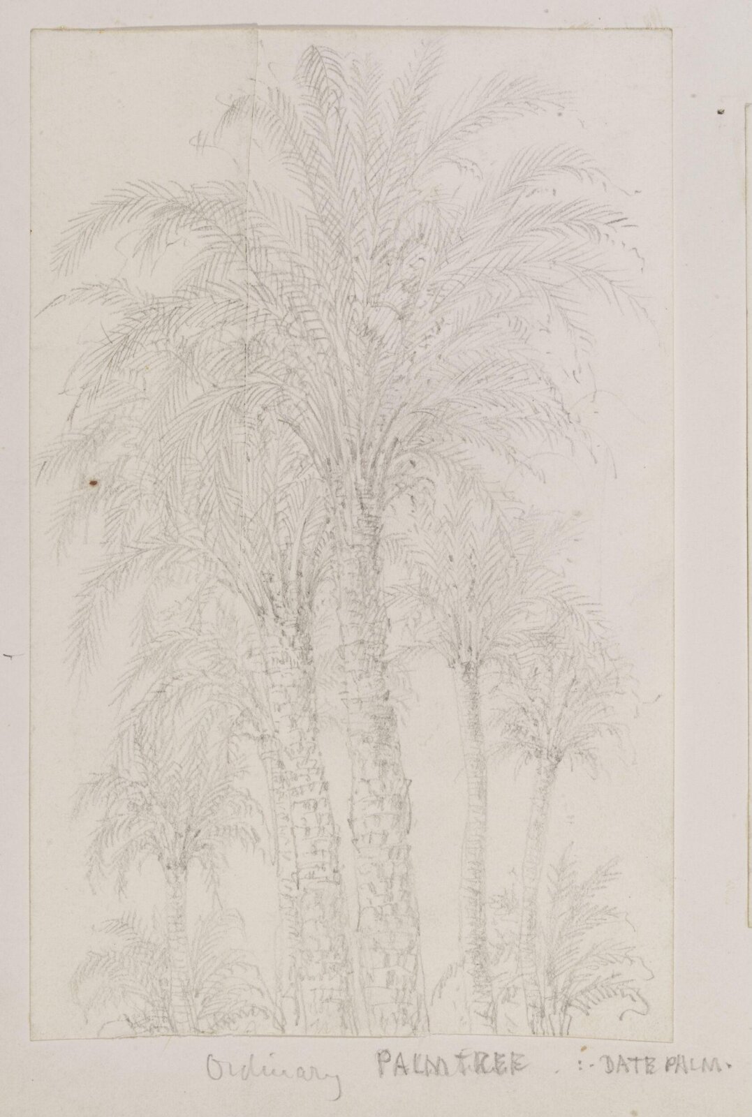 Drawing, Richard Phené Spiers, 19th century