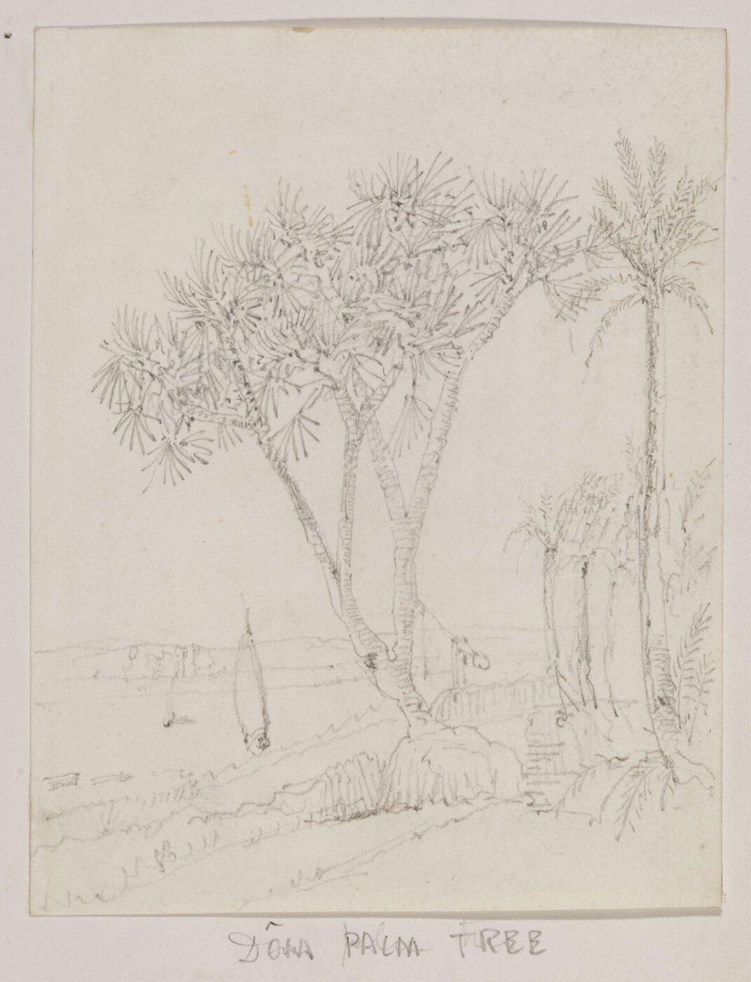 Spiers, Richard Phené, Drawing