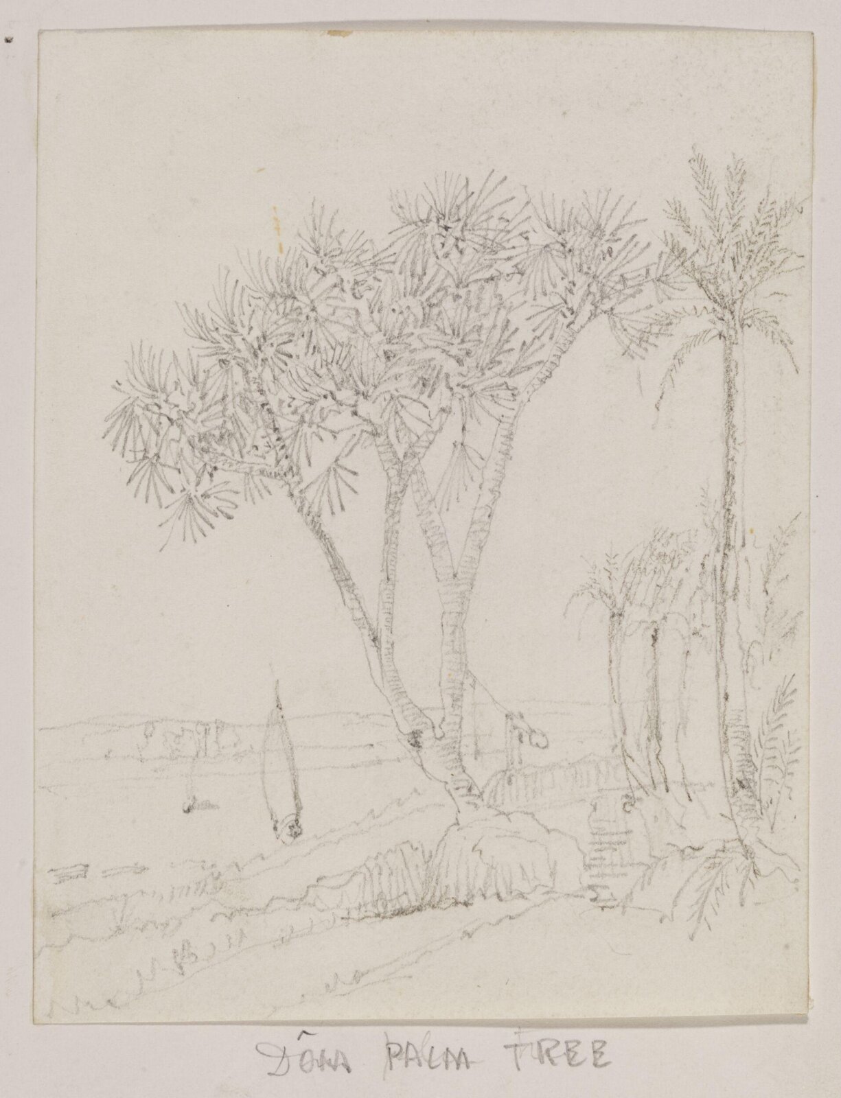 Drawing, Richard Phené Spiers, 19th century