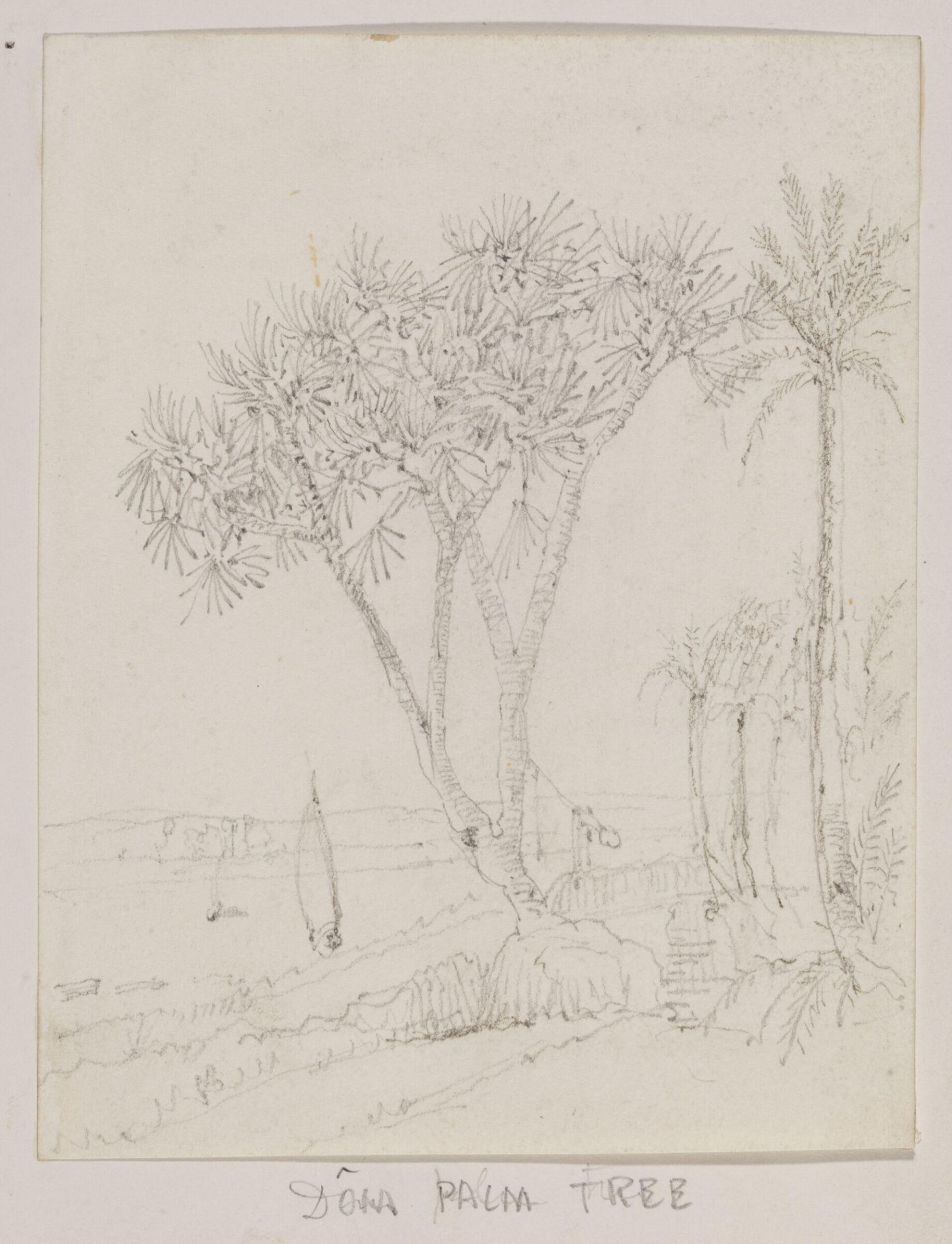 Drawing, Richard Phené Spiers, 19th century