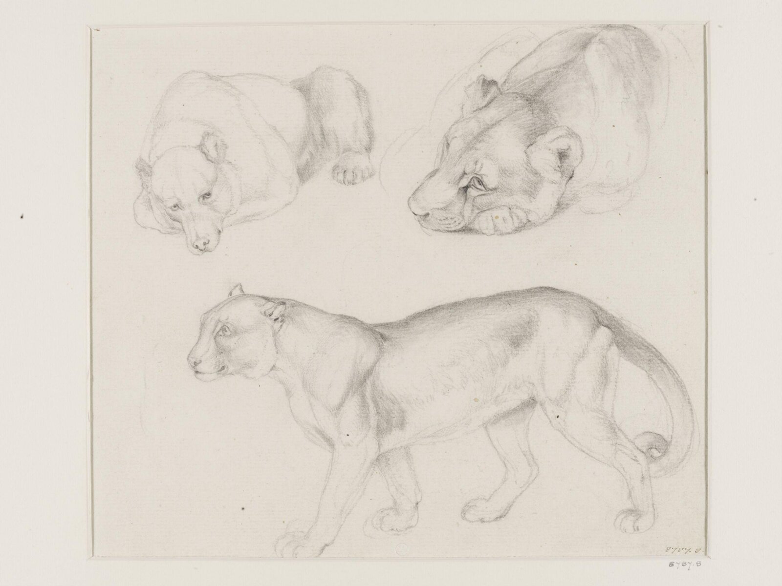 A Bear, a Lion(?) and a Puma, Eugène Verboeckhoven, 1826