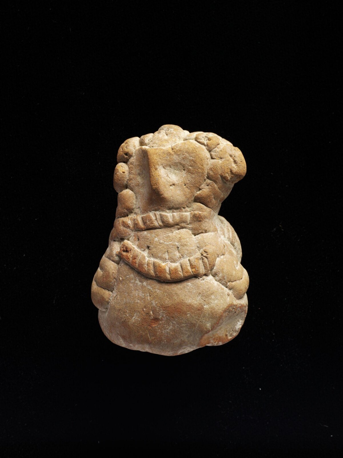 Bust
