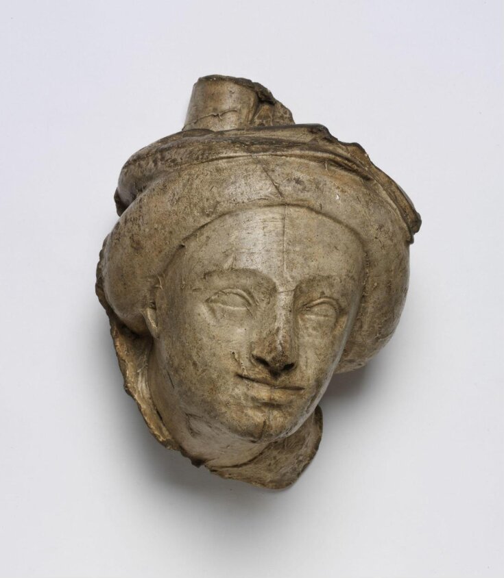 Head of a lady top image