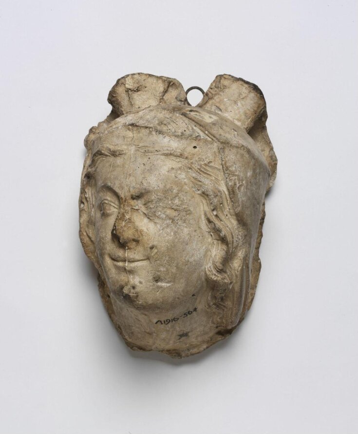 Head of a lady top image