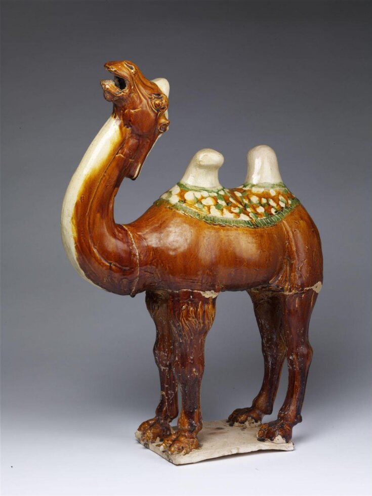 Figure of Camel top image