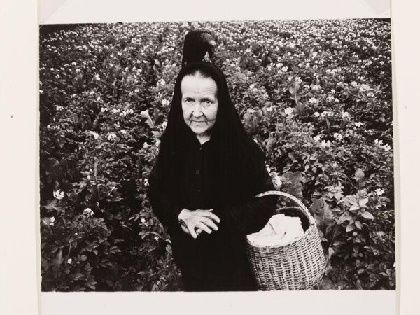 Portrait Pilvelis, Algirdas V&A Explore The Collections