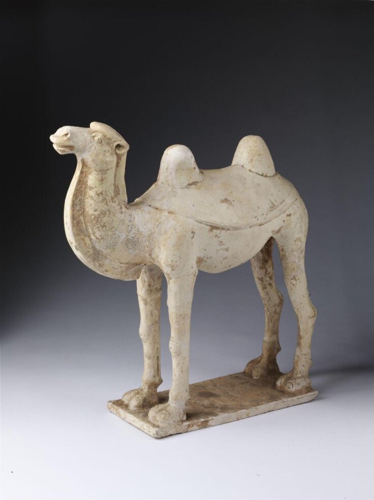 Figure of Camel top image