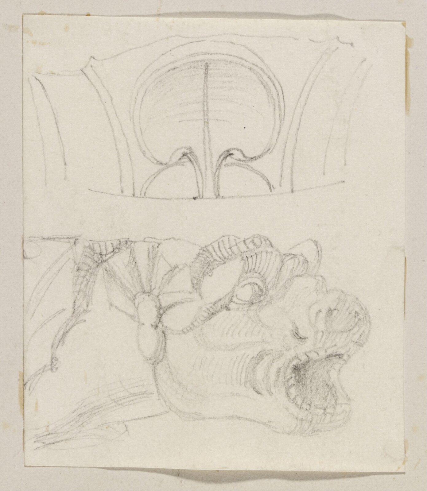 Drawing, Richard Phené Spiers