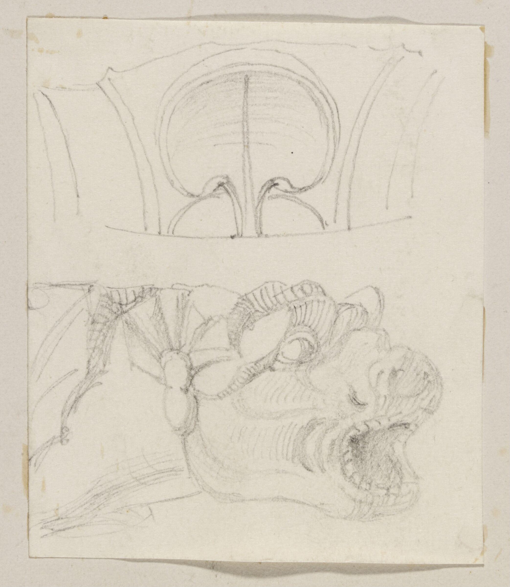 Drawing, Richard Phené Spiers