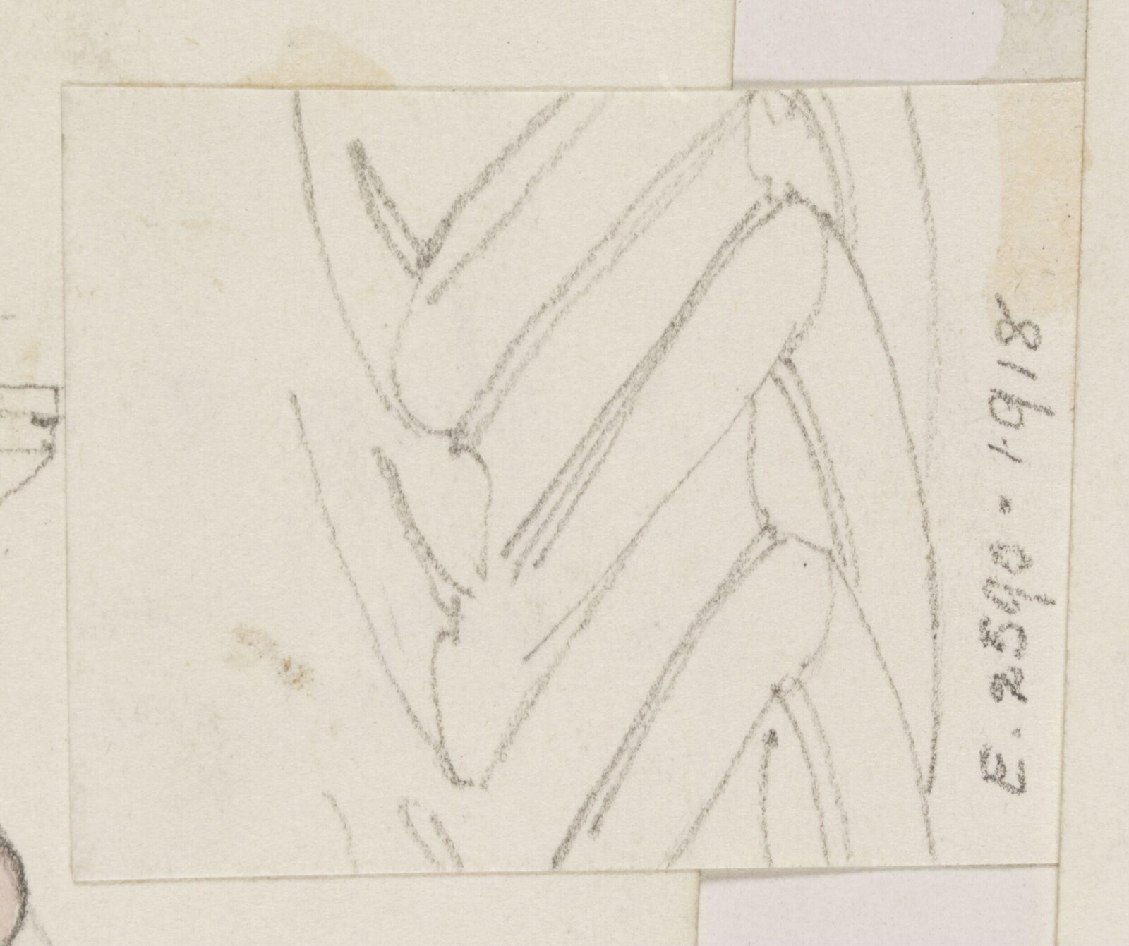 Drawing, Richard Phené Spiers