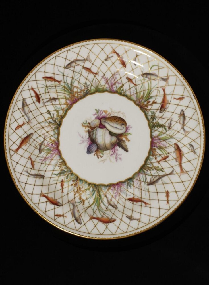 Plate top image