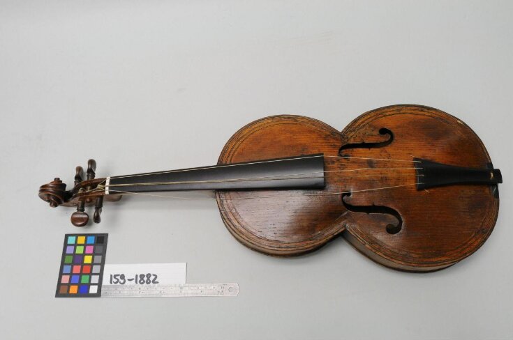 Violin top image