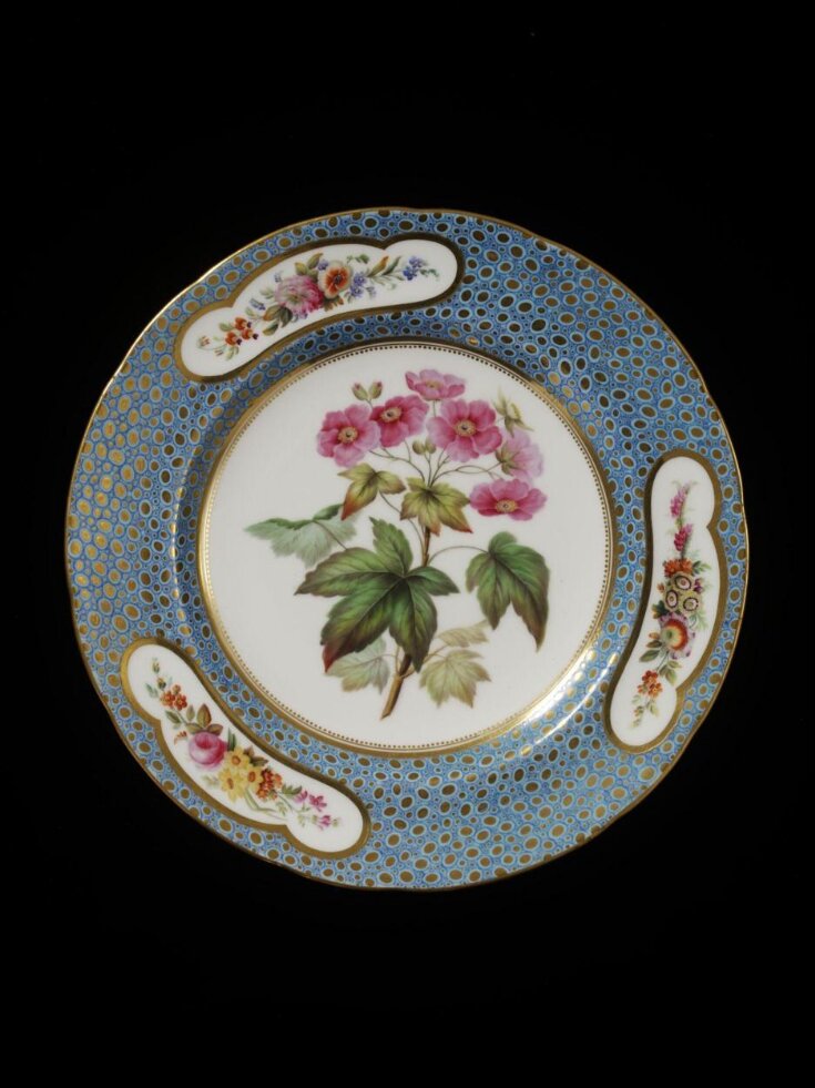 Plate top image