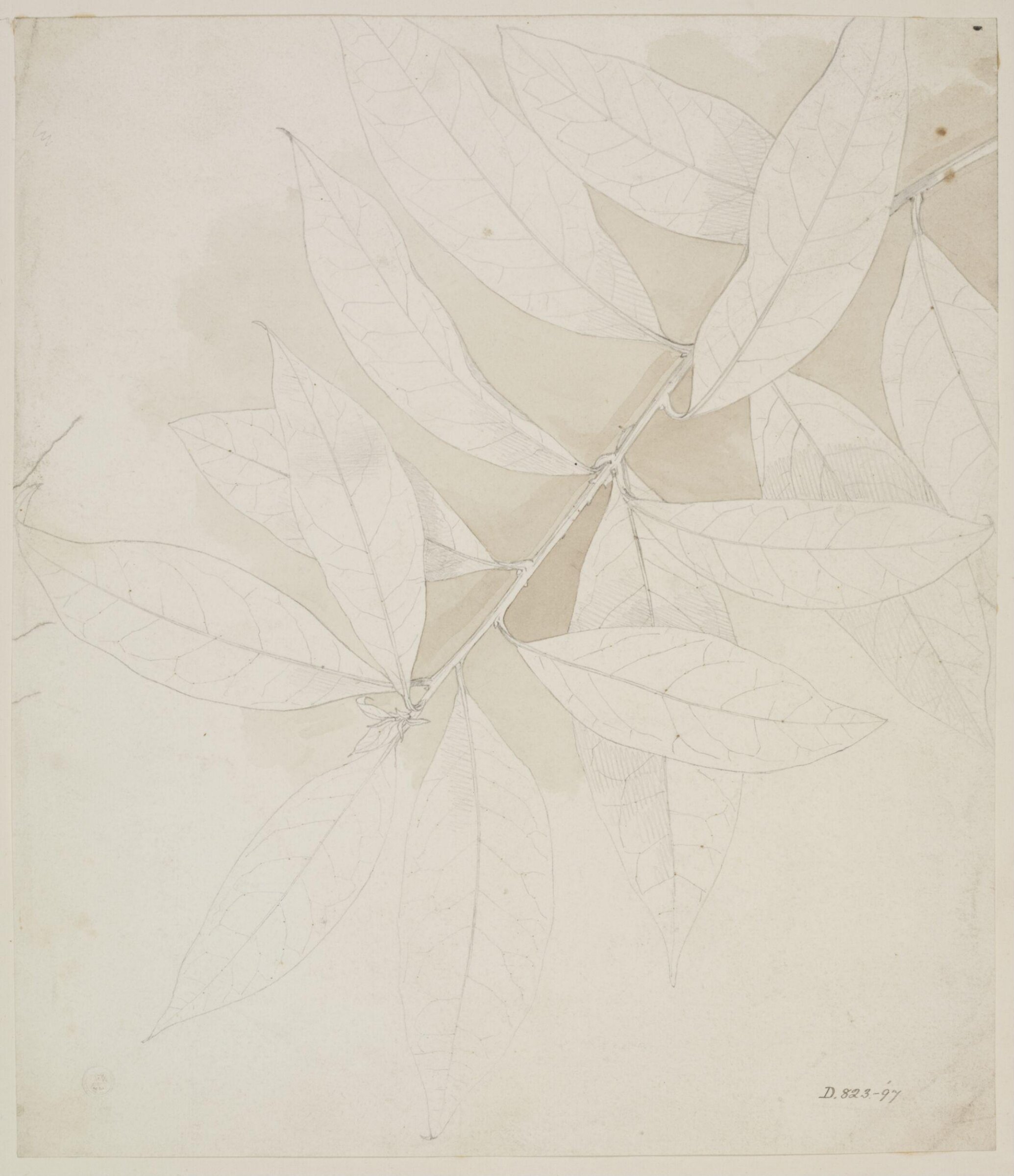 Drawing, Owen Jones, 19th century